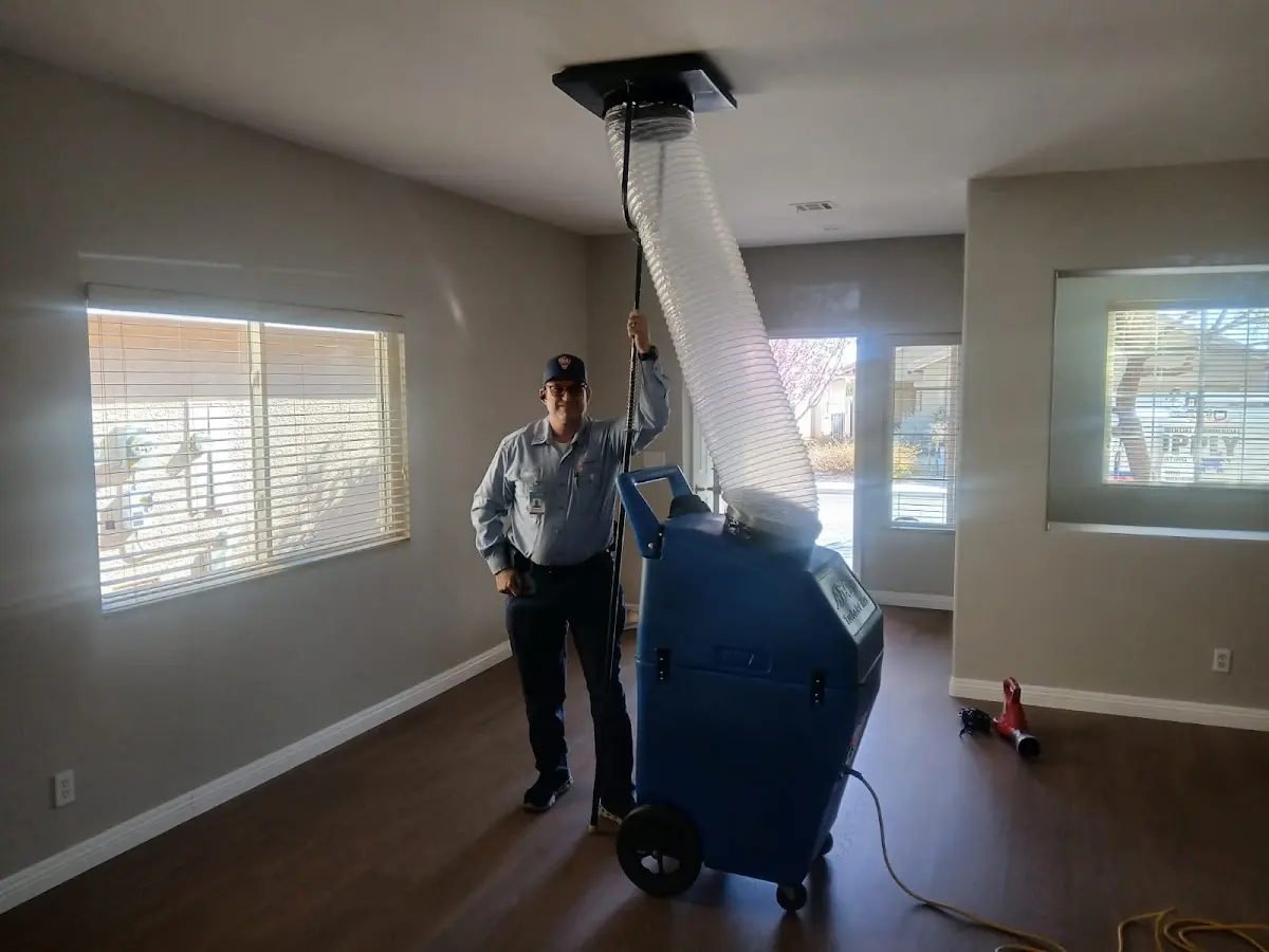 Professional Dryer Vent Cleaning work inside a Walkertown home